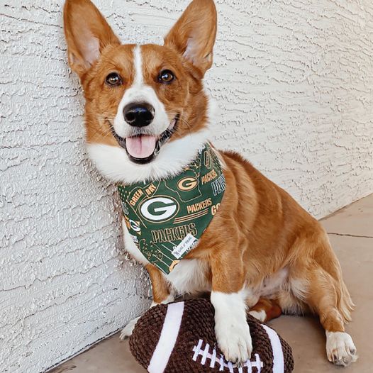 Green Bay Packers Running Dog Costume